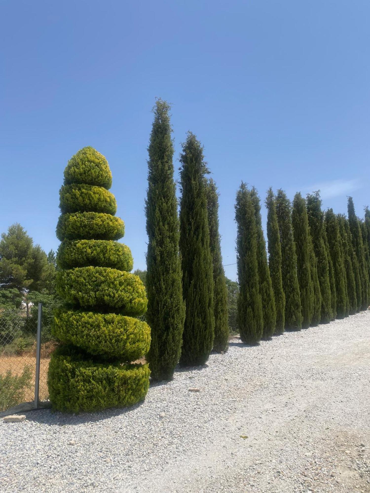 Cuevas Helena Villa Benamaurel ภายนอก รูปภาพ