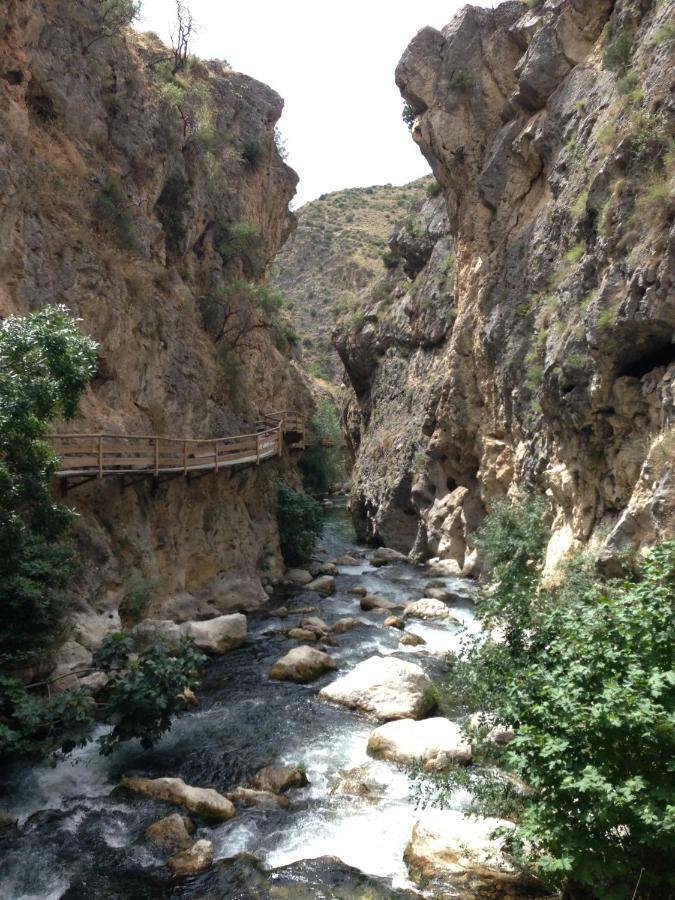Cuevas Helena Villa Benamaurel ภายนอก รูปภาพ